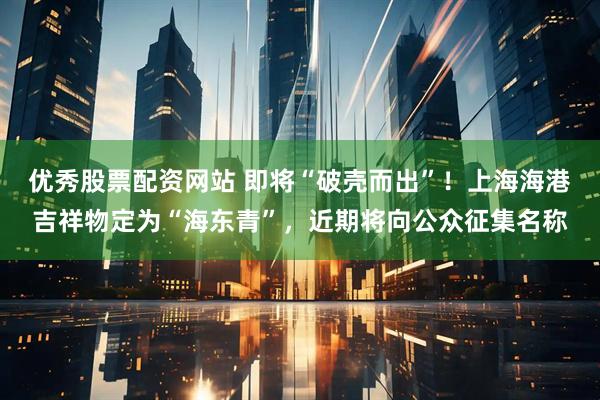 优秀股票配资网站 即将“破壳而出”！上海海港吉祥物定为“海东青”，近期将向公众征集名称